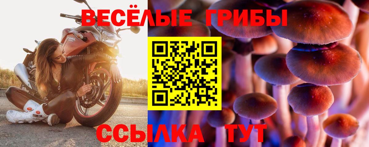 Арсеньев  Галлюциногенные грибы мухоморы  Галлюциногенные грибы мухоморы  Вход с VPN 